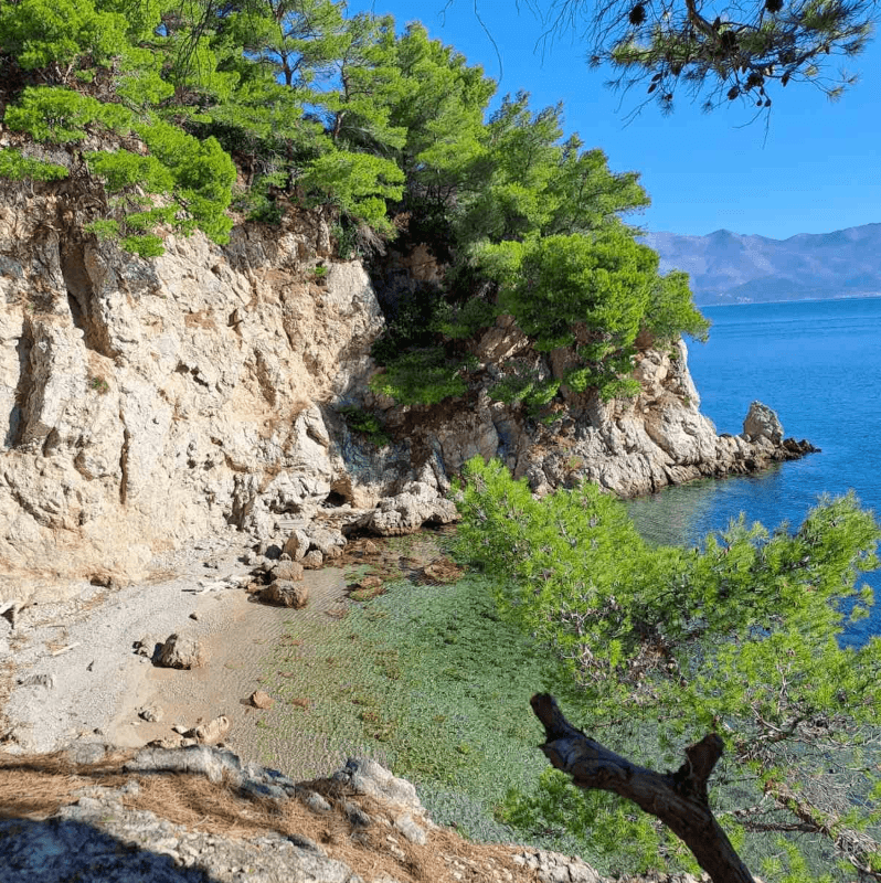 Hidden bay with clear turquoise water below pine trees on the Elafiti Islands